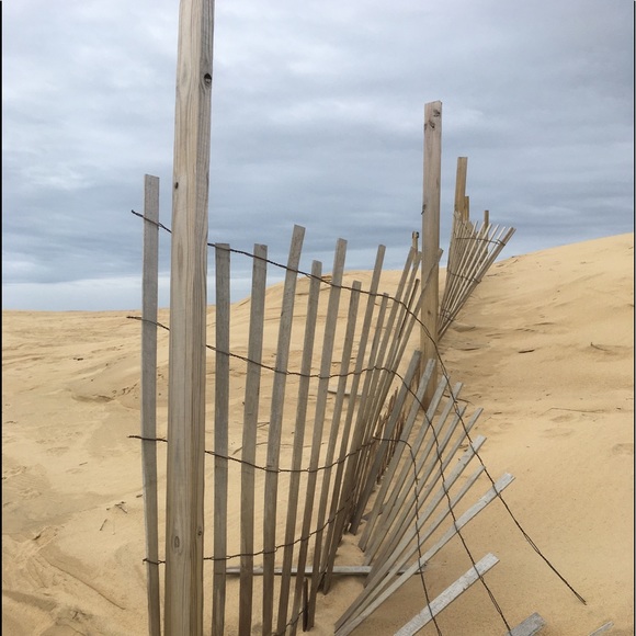 Meet your Posher, Victoria - Picture 2 of 8